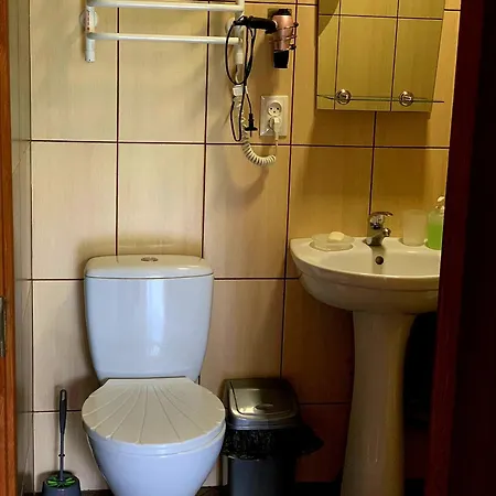 грицюка Holiday home Krivorovnya