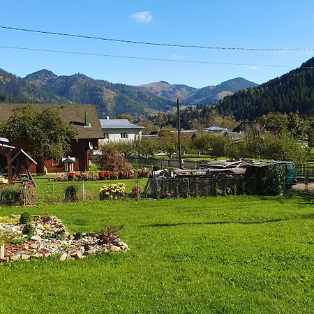 грицюка Holiday home Krivorovnya