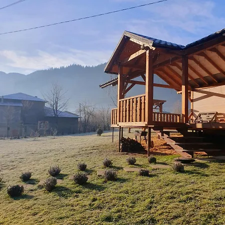 грицюка * Krivorovnya