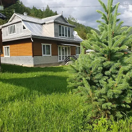 Ferienhaus грицюка Krivorovnya