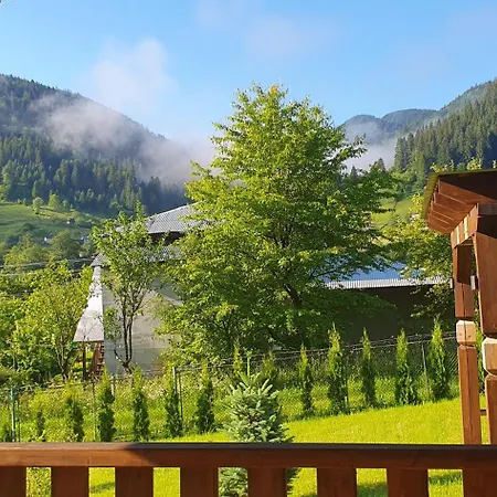 Ferienhaus грицюка Krivorovnya