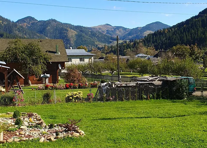 грицюка Holiday home Krivorovnya